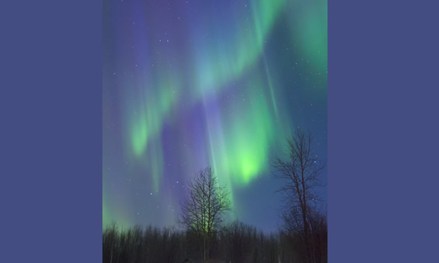 Northern Lights in the Northern Rockies Regional Municipality (NRRM).