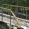 bridge in the trail area