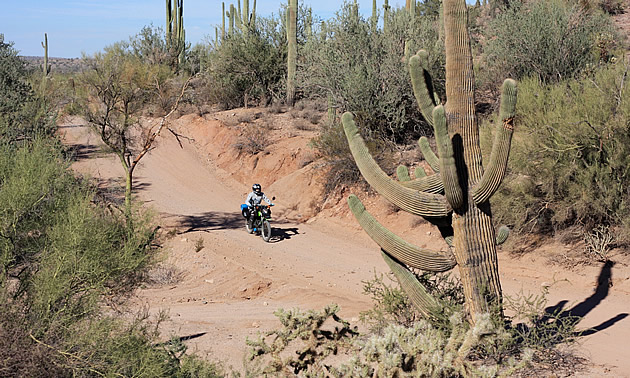 lady riding through Florence, Arizona on an off-road bike