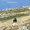 people ATVing