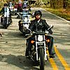 people riding motorcycles with autumn trees on either side
