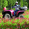 Man on atv