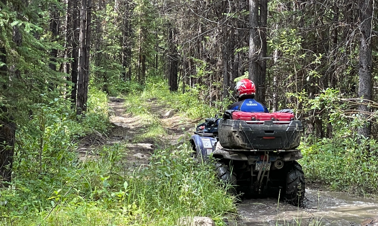 An ATVer rides through a bumpy trail amidst a dense forest. 