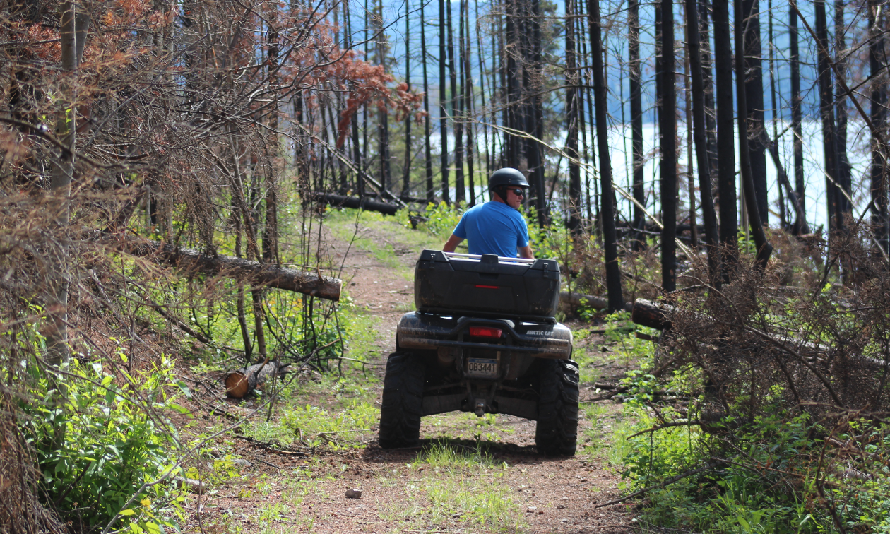 An ATVer rides a section of the Cheslatta Trail where trees show signs of being burnt from forest fires. 