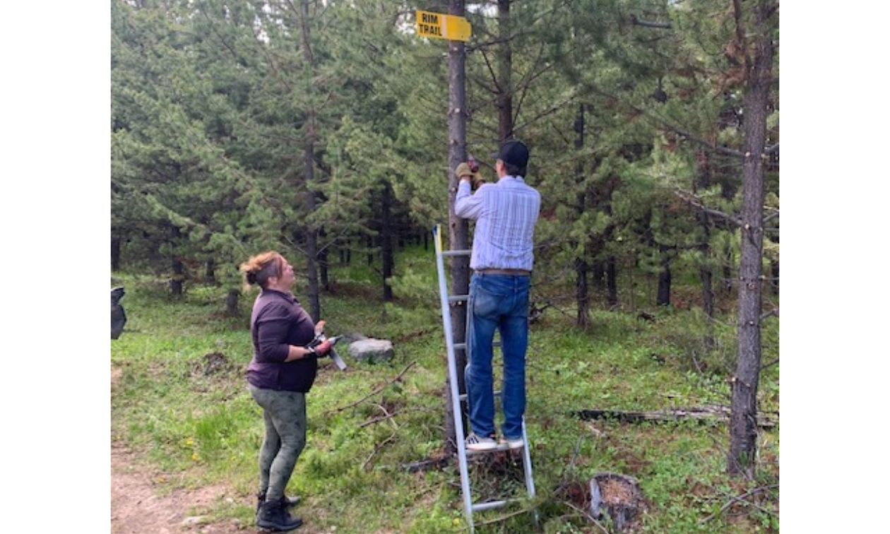 A man attaches a sign to a tree on a ladder while a woman stands nearby to assist. 