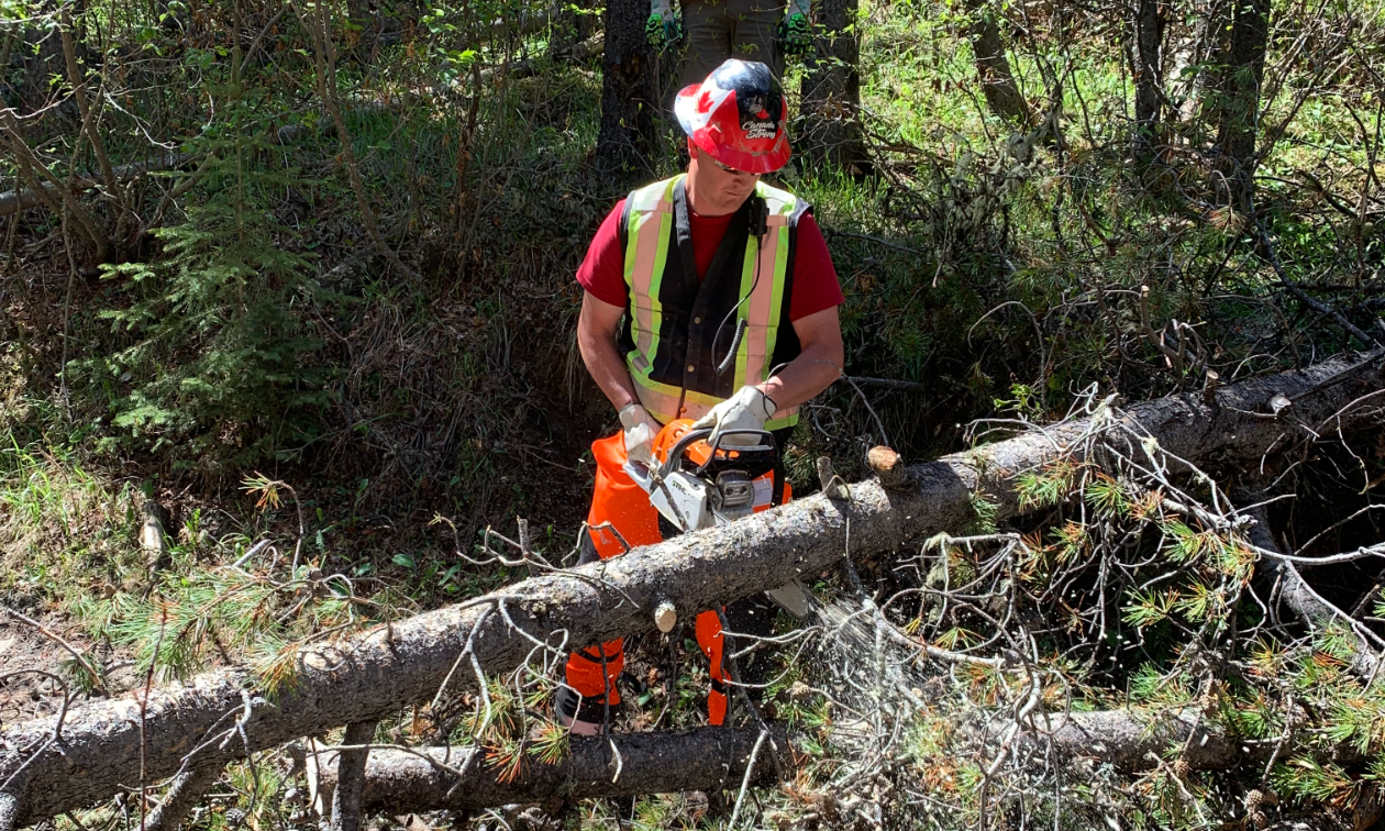 A man in an orange hard hat and reflective vest cuts through a downed tree with a hand saw. 