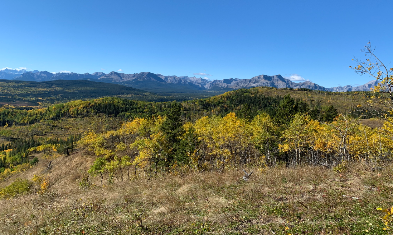 Rolling hills and the Rocky Mountains in fall. 