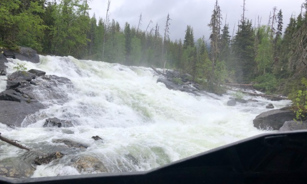 A raging river rushes with tall green trees lined along Mathews River at Ghost Lake.
