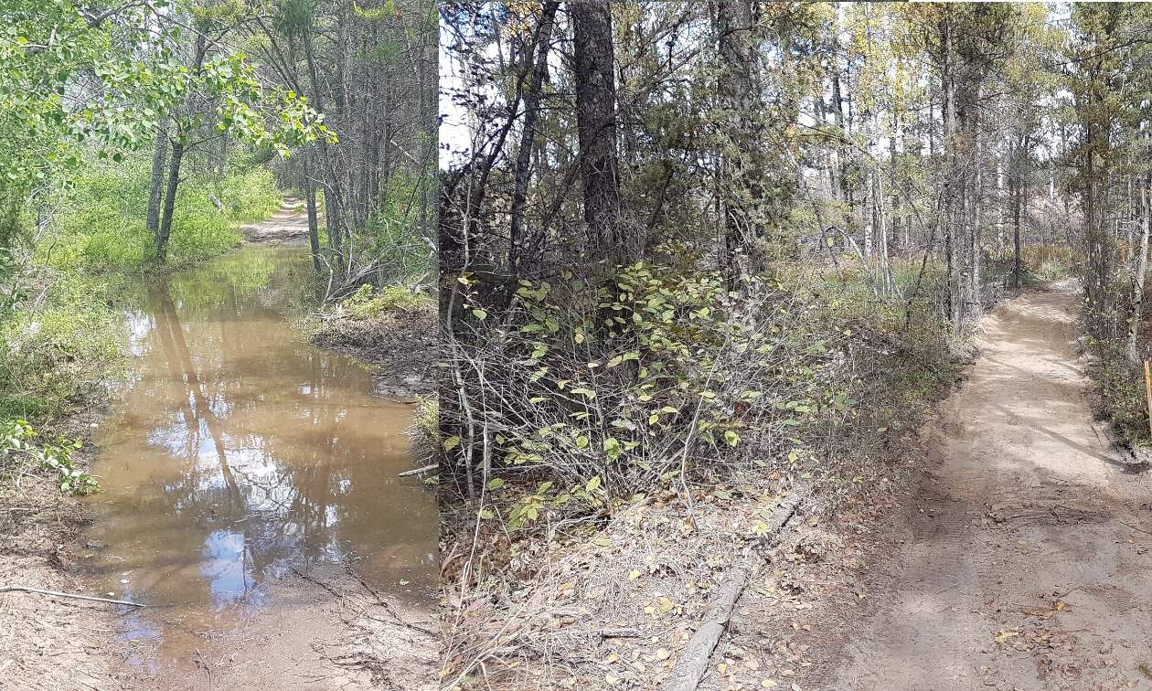 Before and after: Wet stretch on the left, sandy trail after repairs.
