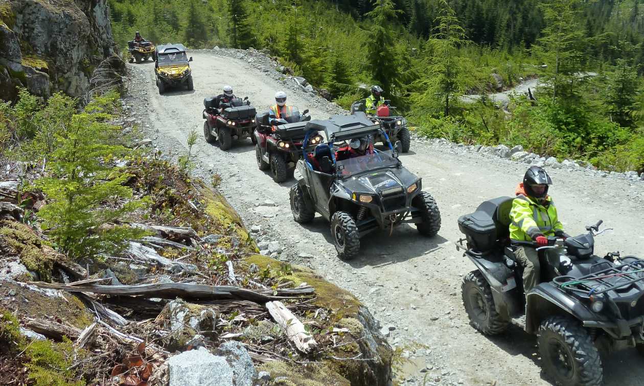 Logging roads wind over mountainous terrain near Gold River.