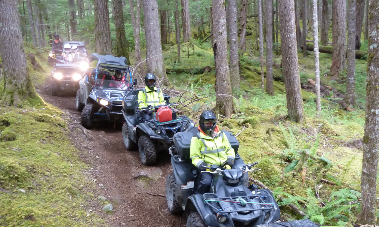 A row of ATVers ride in a line down a dirt trail through trees in Gold River.
