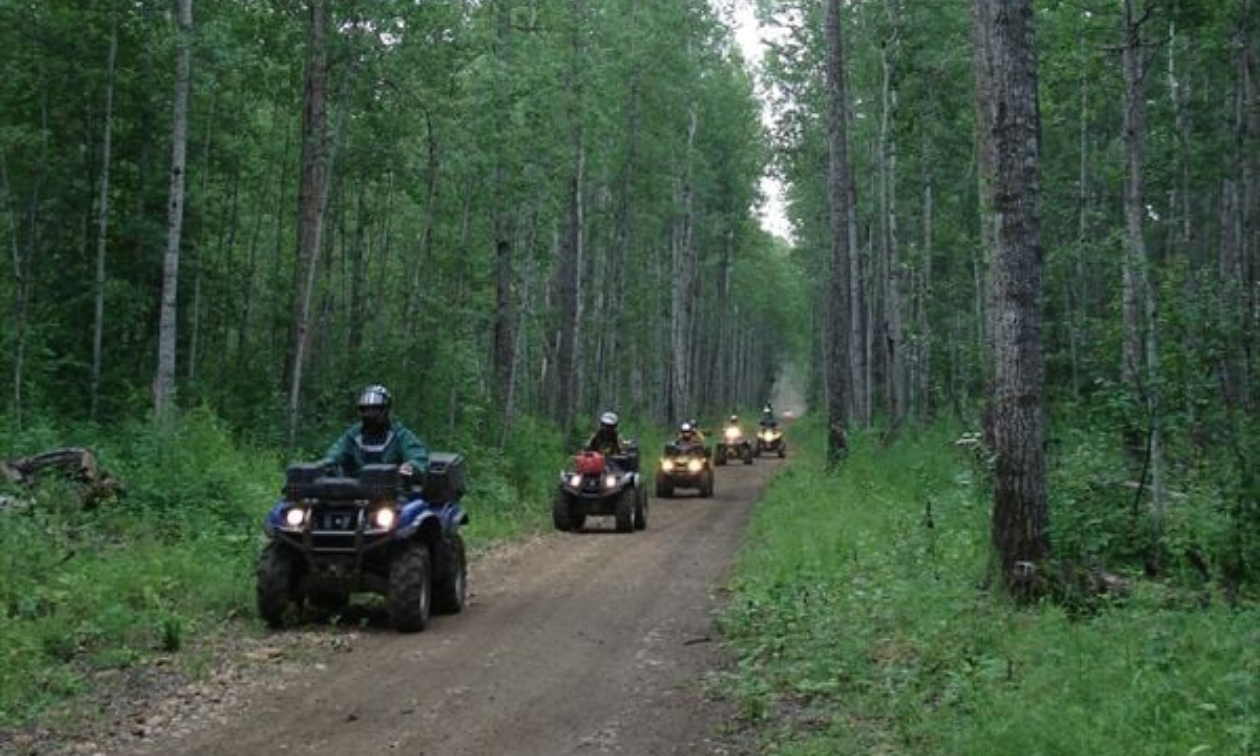 Several ATVers ride over a trail through tall trees.
