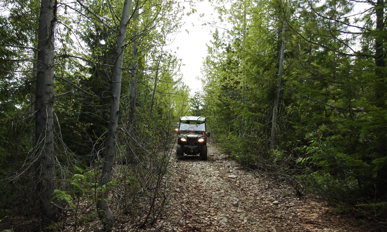 An ATV drives through a narrow trail with tall trees on each side.