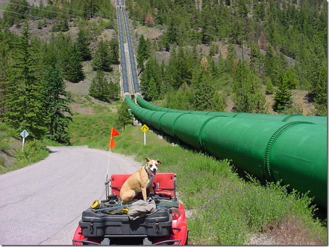 Four large bright green 10 ft. pipes that carry water that flows through the mountain from Carpenter Lake. 