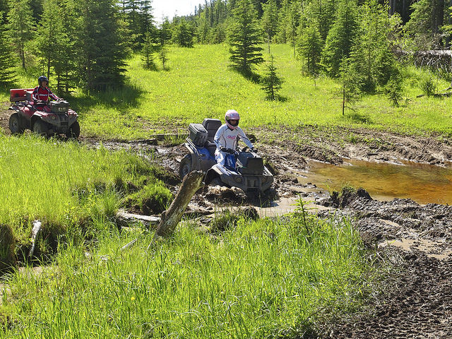 Carole Collins takes on a mudhole on a trail north of Burntstick Lake on a ride to the Clearwater River