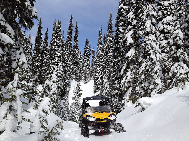 Catherine Zimmer and her husband Mike Kietzman of Creston British Columbia enjoy four season riding in their winter wonderland of a back yard thanks to the installation of winter tracks on their CanAm Commader.