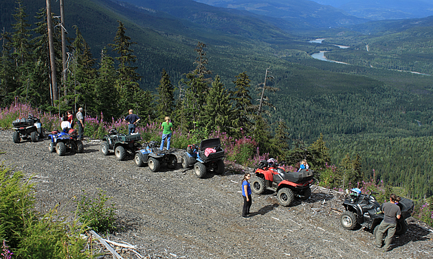 A group of ATVs riding up a logging road. 