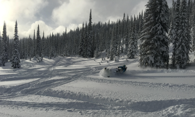 Allan Bouchard plays in the powder in the backcountry.