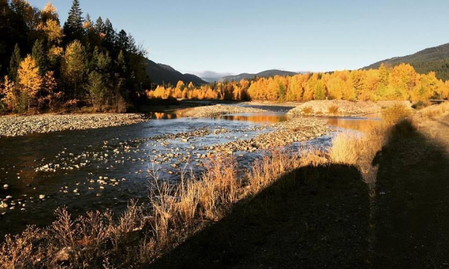 Tulameen River moves toward Kelly Peaks in the distance just before entering Tulameen.