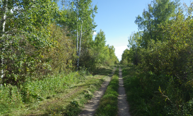 The Interlake Pioneer Trail’s roots date back to 1914.