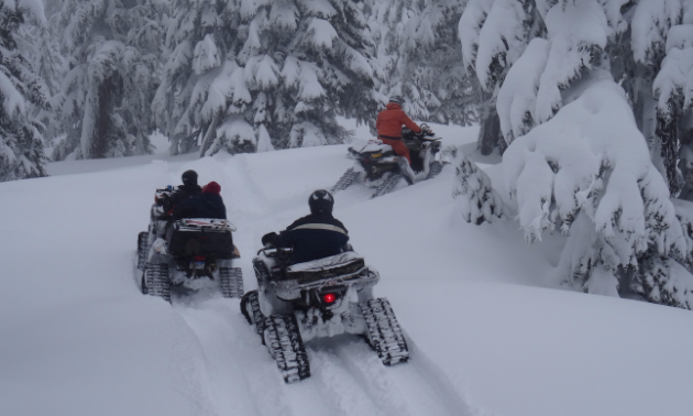 Three ATVs with tracks ride through the snow