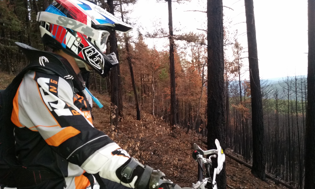 Many of Williams Lake’s trails have been wiped out due to wildfires in 2017.