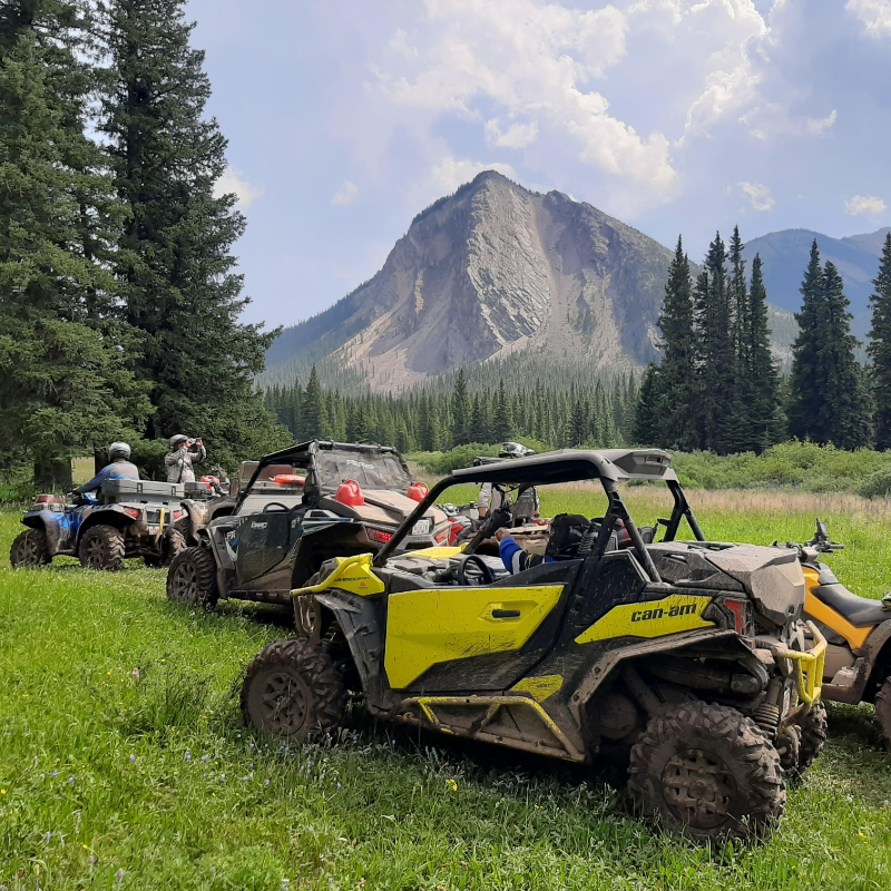 Four side-by-side ATVs are parked in a glade while a mountain juts out of the ground in the distance. 