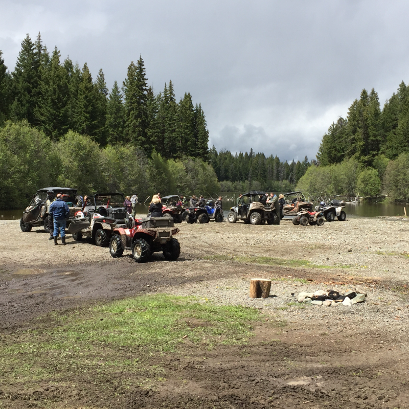 A line of ATVs along a lake edge in the woods. 