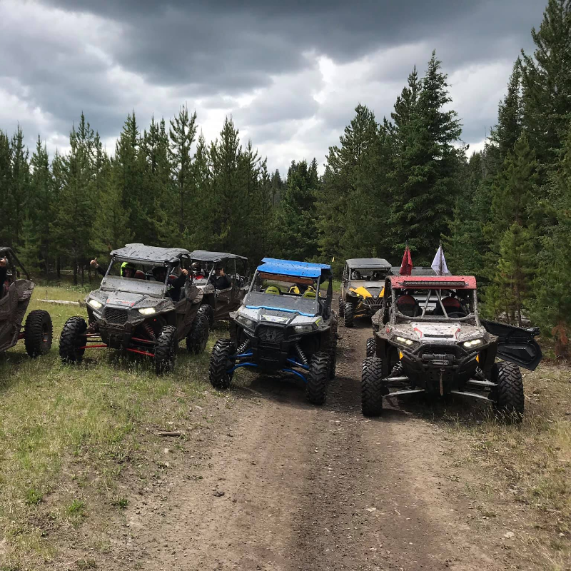 A row of ATVs on a trail in the woods. 