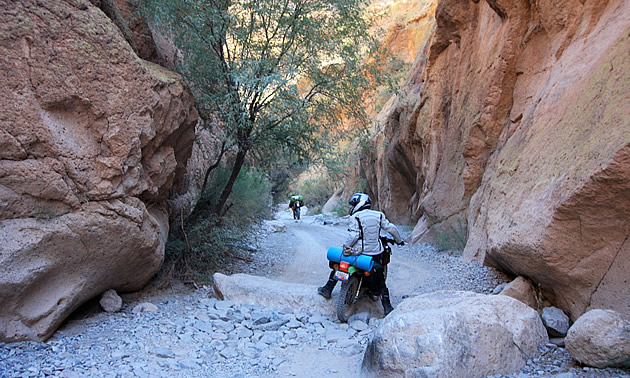 woman riding a bike through rugged terrain in Arizona