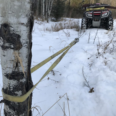 This Warn strap protects the bark on trees when winching. 