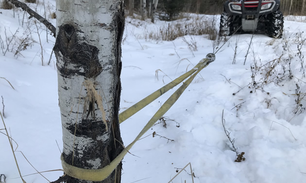 This Warn strap protects the bark on trees when winching. 