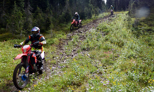 Stephen Howland, Carl Kuster and Steve Foord riding Beta bikes in the backcountry of B.C. 