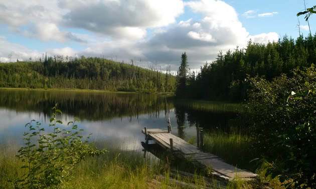 This small lake is Trevor's quiet summer getaway.