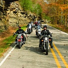 People riding motorcycles with autumn trees on either side