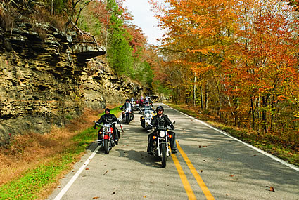People riding motorcycles with autumn trees on either side