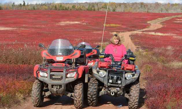 Two ATVs parked in a field full of red plants. 
