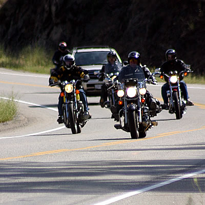 A group of motorcycles sharing the winding road with other vehicles. 