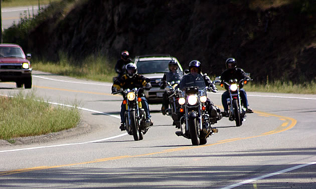 A group of motorcycles sharing the winding road with other vehicles. 