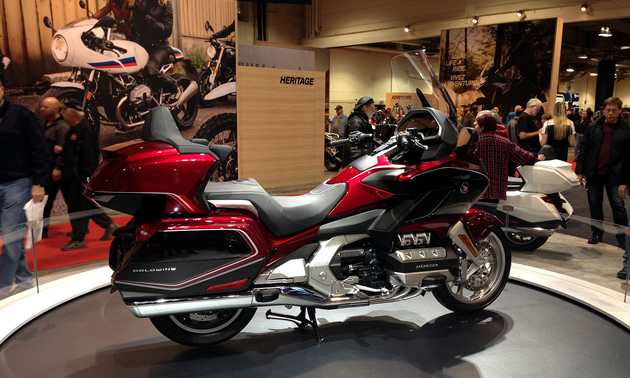 Red and black Gold Wing. 