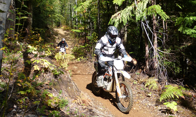 Two dirt riders on the single-track trails in Revelstoke. 