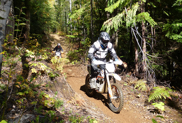 Two riders on the single-track trails in Revelstoke. 