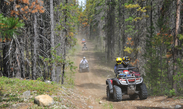ATVers riding up a trail in Valemount, B.C. 